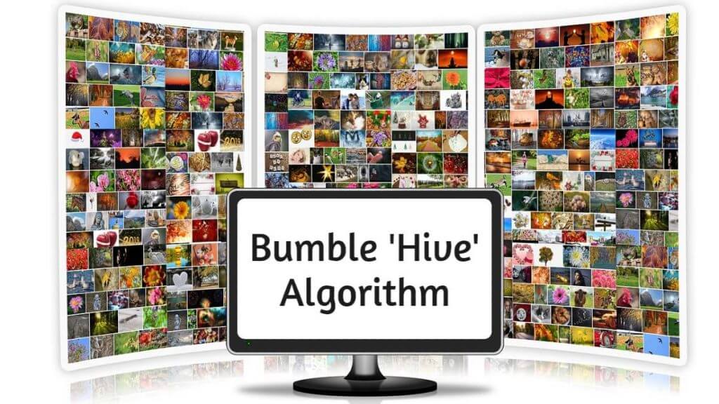 bumble-algorithm