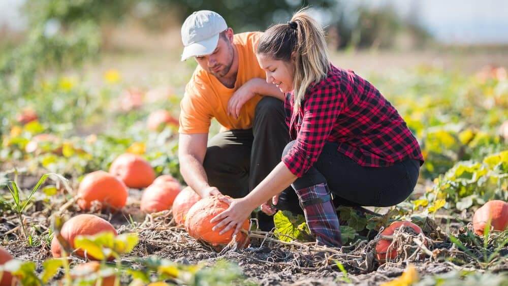 Single women farmers looking