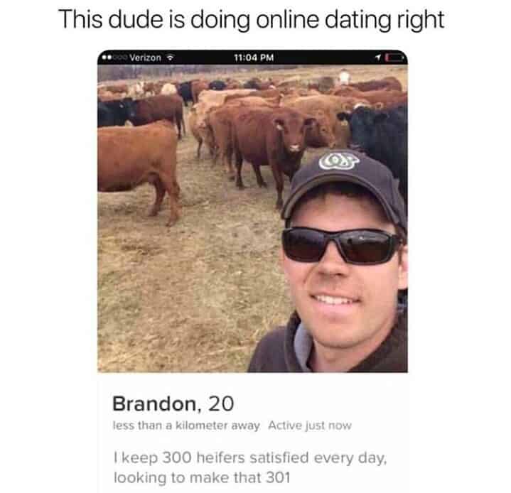 Tinder Memes - The BIG list of the funniest ones in [year] 144