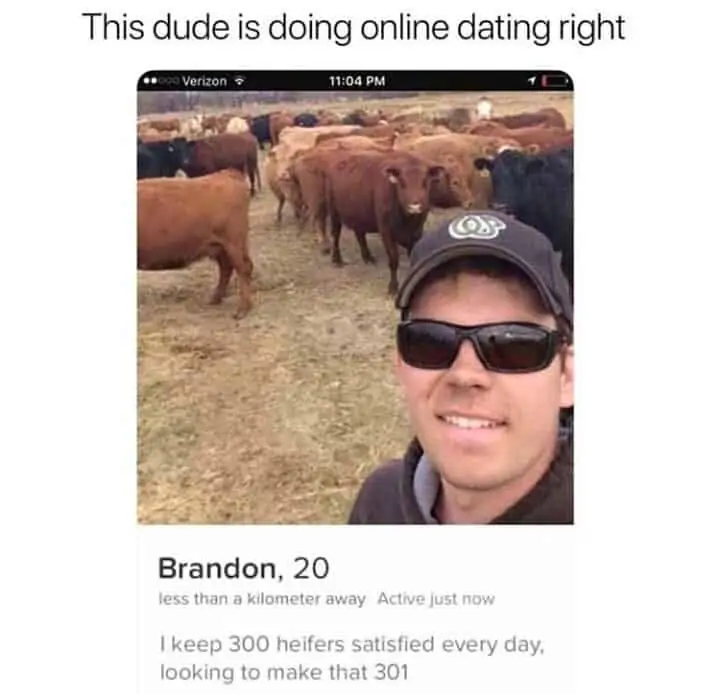 Tinder Memes - The BIG list of the funniest ones in 2023 142