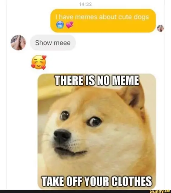 Tinder Memes - The BIG list of the funniest ones in 2023 194
