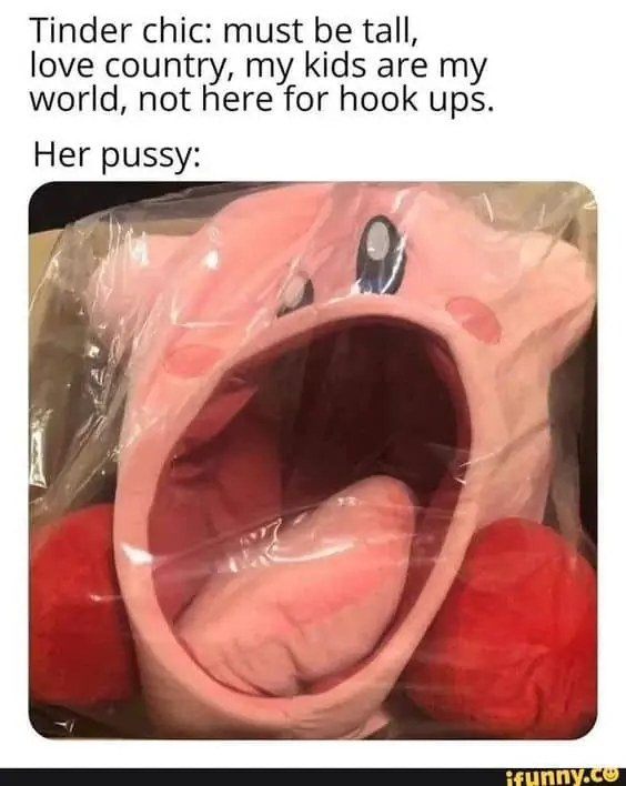 Tinder Memes - The BIG list of the funniest ones in 2023 195