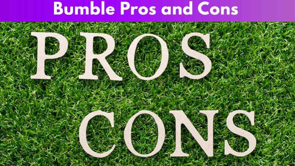 Bumble pros and cons 1