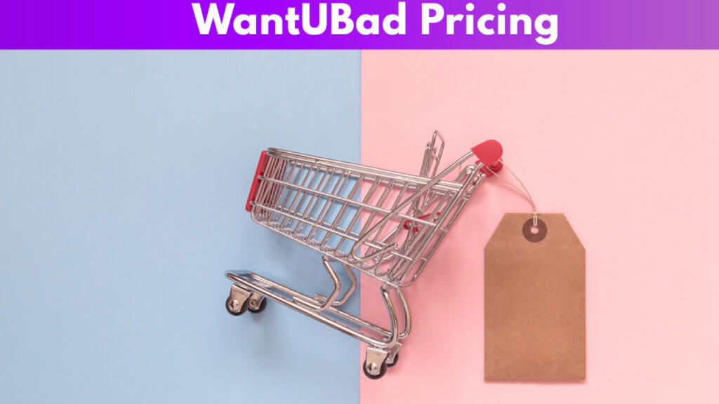 WantUBad Pricing