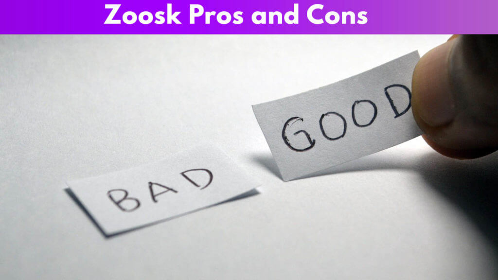 Zoosk Pros and Cons