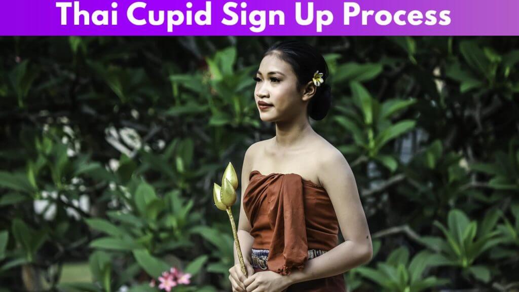 Thai Cupid Sign Up Process