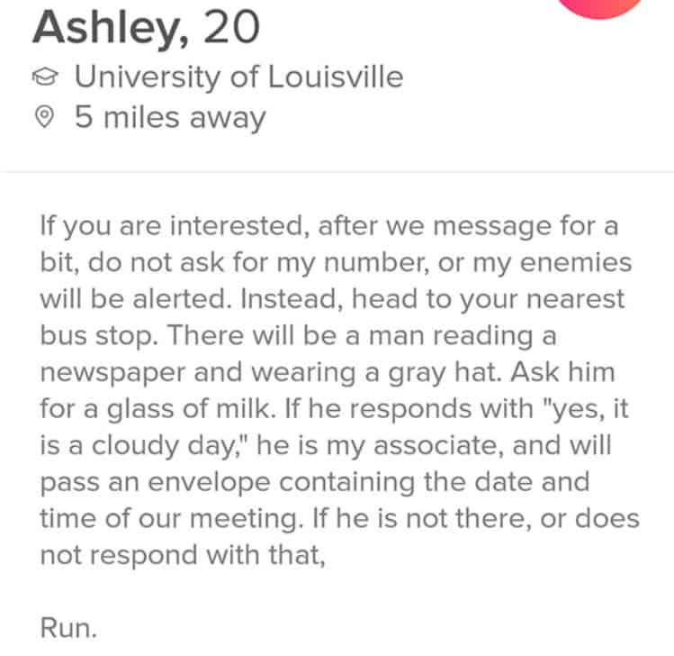 30+ Funny Tinder Bios - Boost Your Tinder Match Success Rate 69