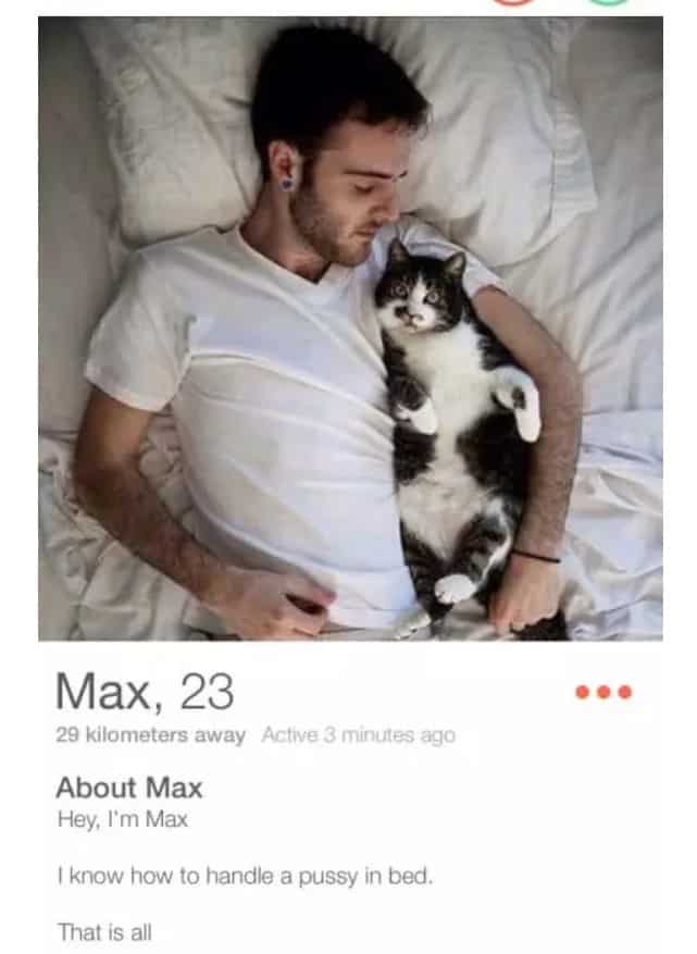 30+ Funny Tinder Bios - Boost Your Tinder Match Success Rate 80