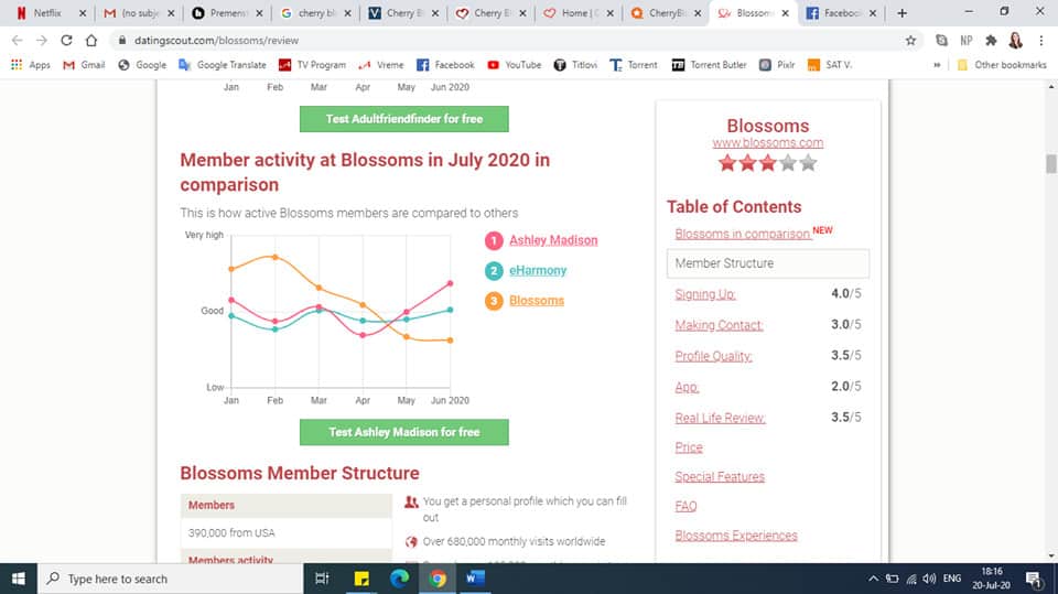 Cherry Blossom Review [year] - Does Love Really Blossoms Here? 14