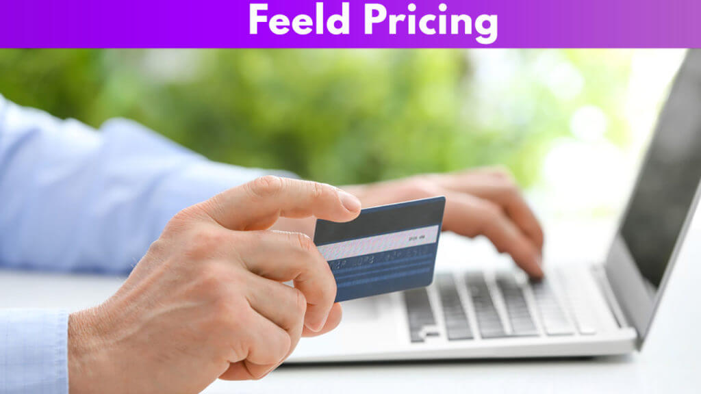 Feeld pricing