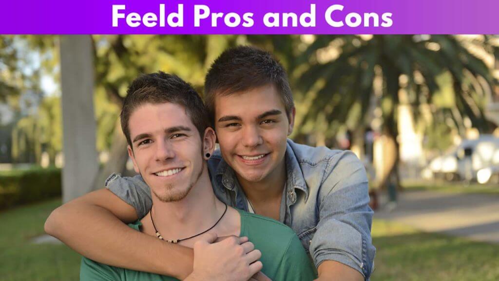 Feeld Pros and Cons