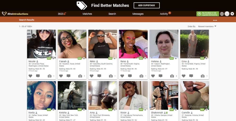 AfroIntroductions Dating Site Review [year] 10