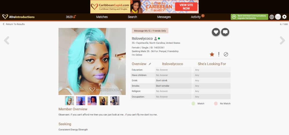 AfroIntroductions Dating Site Review [year] 14