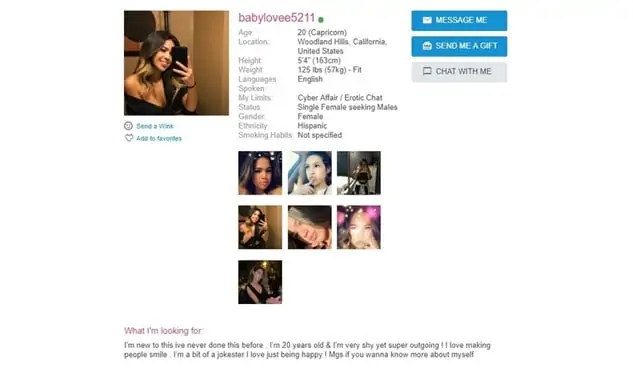 Best Adult Dating Sites in 2023 - [The Top 7 | Features] 21