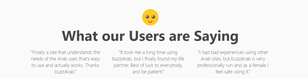 BuzzArab Review ([year]) - Is It Perfect or Scam? 14