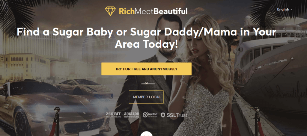 Sugar Daddy Bio Tricks and Examples ([year]) - Top of The Chart! 23