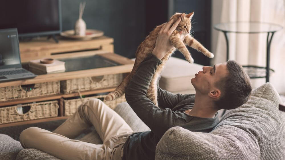 man playing on his sofa with his cat